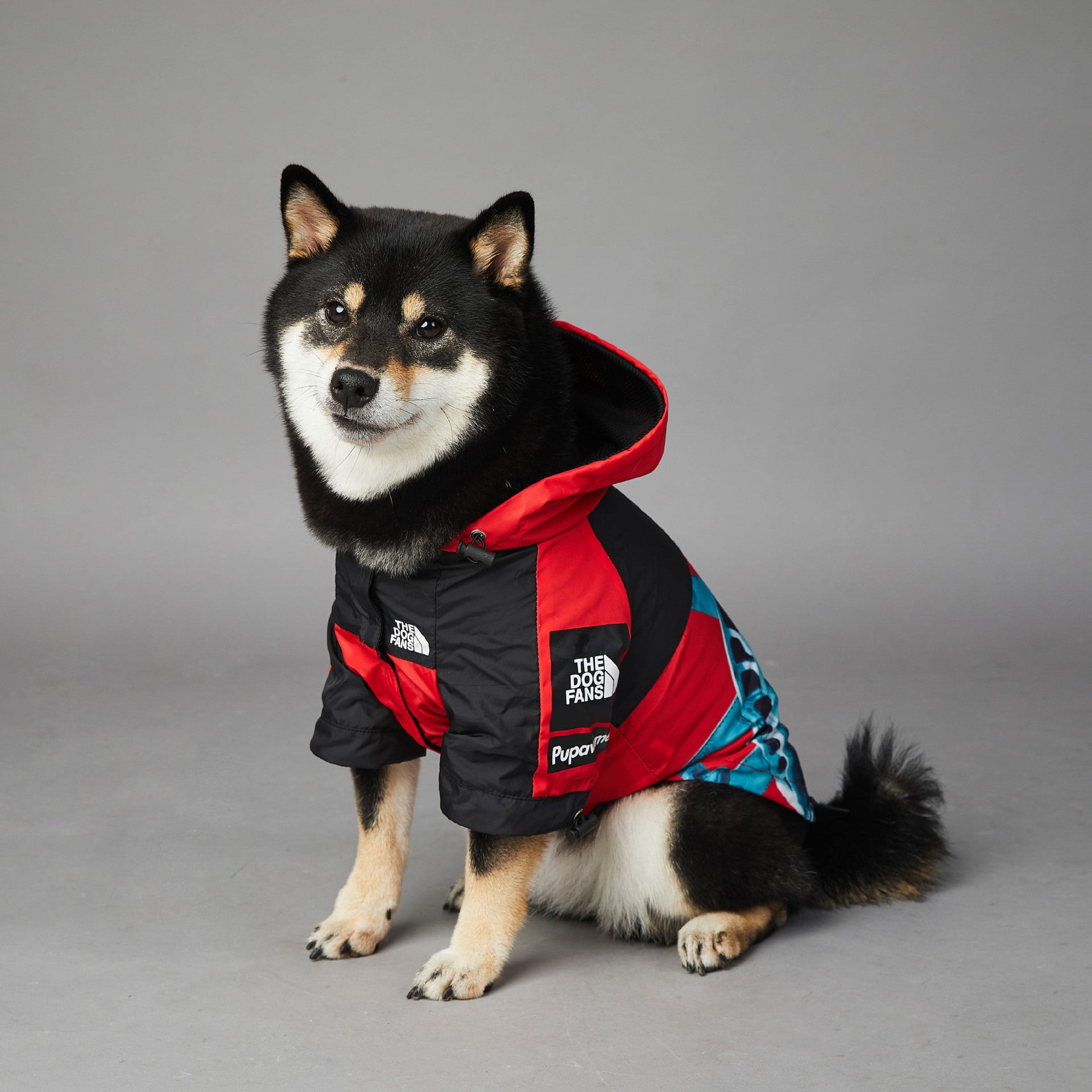 The Dog Fans Regenjacke NY in 3 verschiedenen Farben